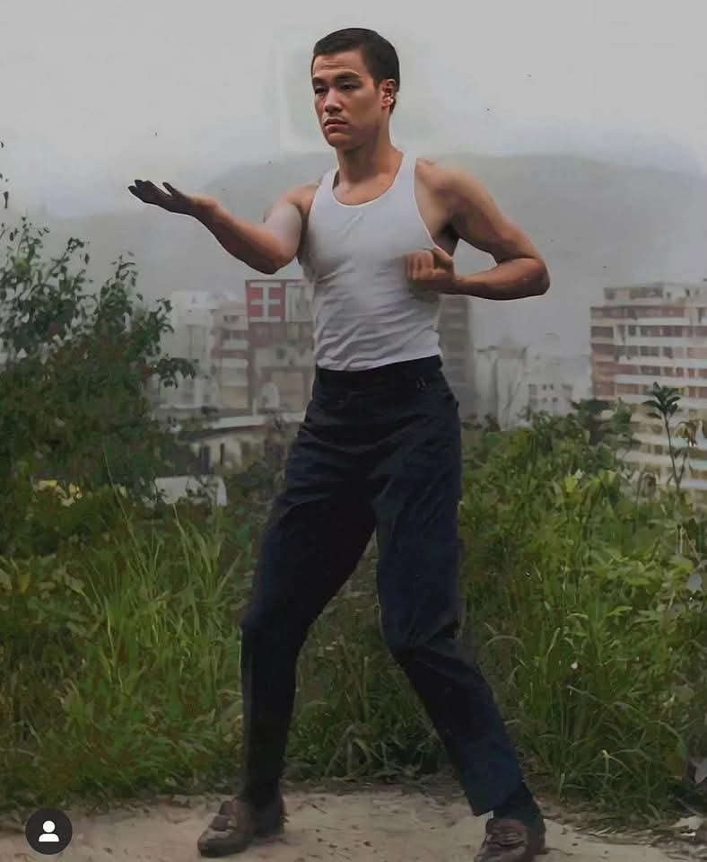 wing tsun kung fu bruce lee tan sau